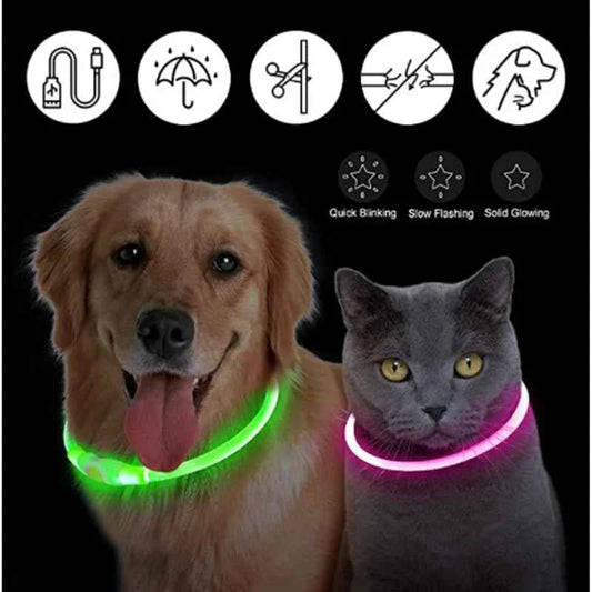 USB Rechargeable LED Dog Collar for Night Safety