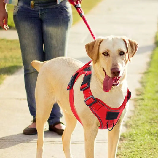 No Pull Dog Harness with Locator Protective Cover