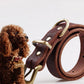 Cowhide Pet Collar for Small and Medium Dogs