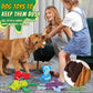5-Pack Squeaky Plush Dog Toy Bundle Durable