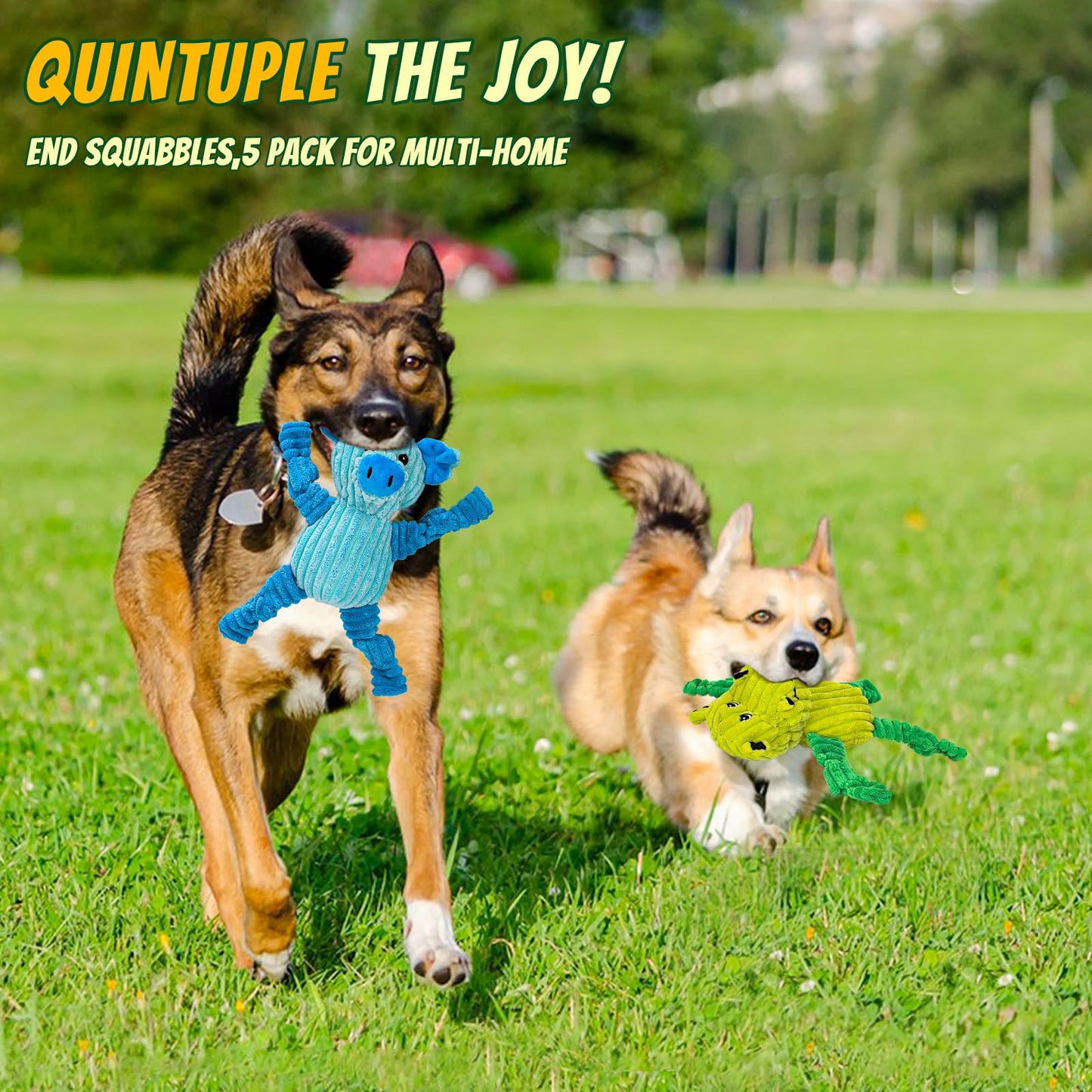 5-Pack Squeaky Plush Dog Toy Bundle Durable