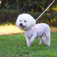 Adjustable Dog Harness with Comfortable Pet Leash Set
