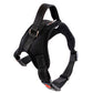 Adjustable Dog Collar for Medium and Large Pets