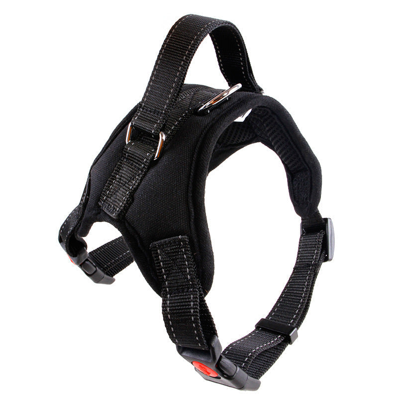 Adjustable Dog Collar for Medium and Large Pets