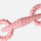 Pet Pull Ring Dog Chew Toy Durable