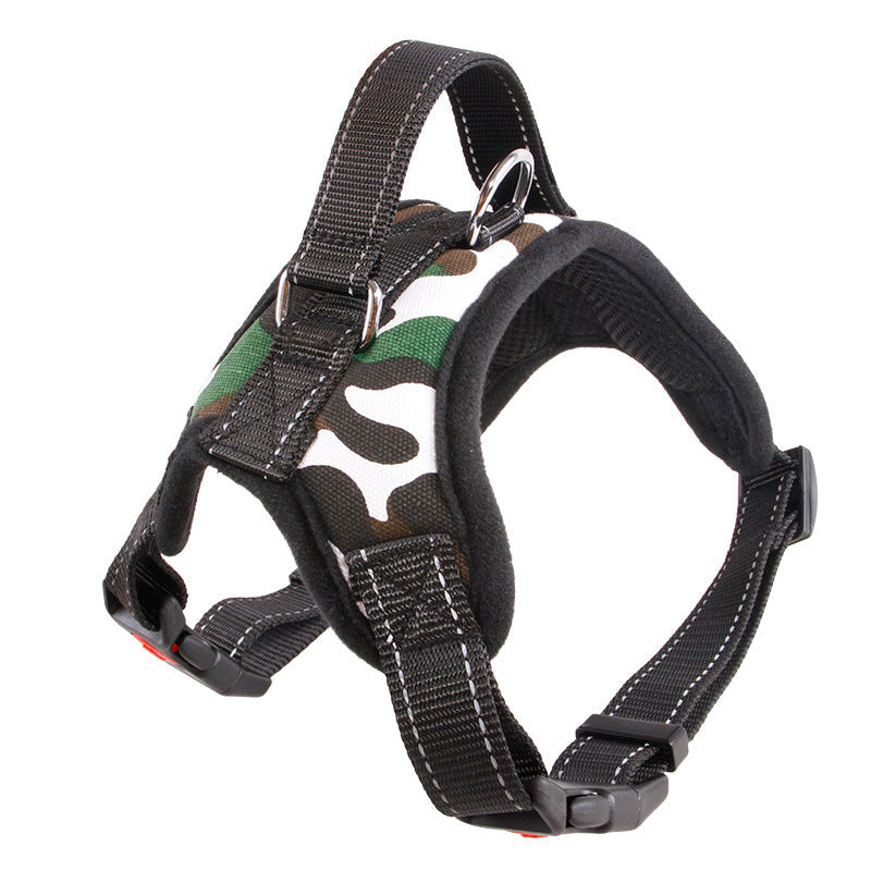 Adjustable Dog Collar for Medium and Large Pets