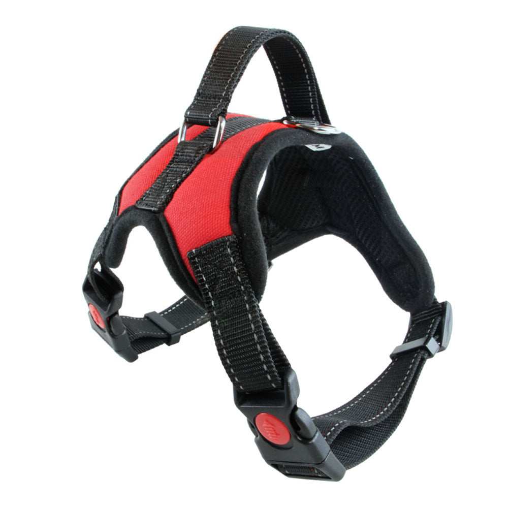 Adjustable Dog Collar for Medium and Large Pets