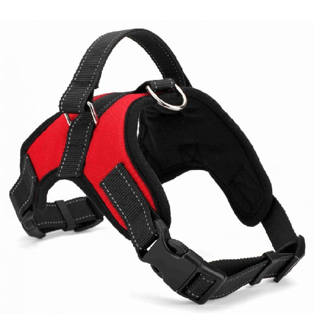 Adjustable Dog Collar for Medium and Large Pets