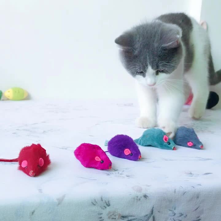 Funny Little Mouse Cat Puzzle Interactive Toy