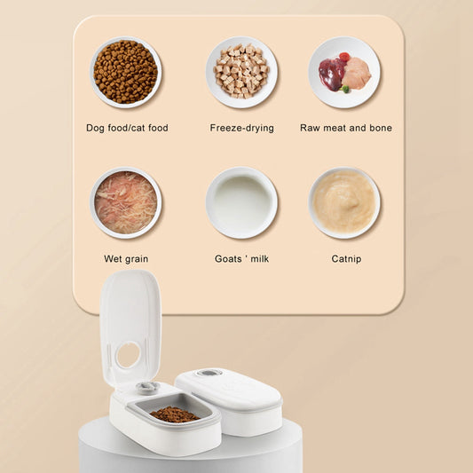 Smart Automatic Pet Feeder Timer Stainless Steel Bowl Dispenser