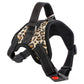 Adjustable Dog Collar for Medium and Large Pets