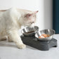 Stainless Steel Pet Feeding Bowl with Elevated Stand