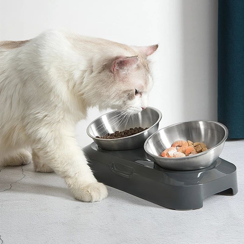 Stainless Steel Pet Feeding Bowl with Elevated Stand