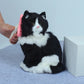 Silicone Small Pet Grooming Brush for Rabbits Guinea Pigs