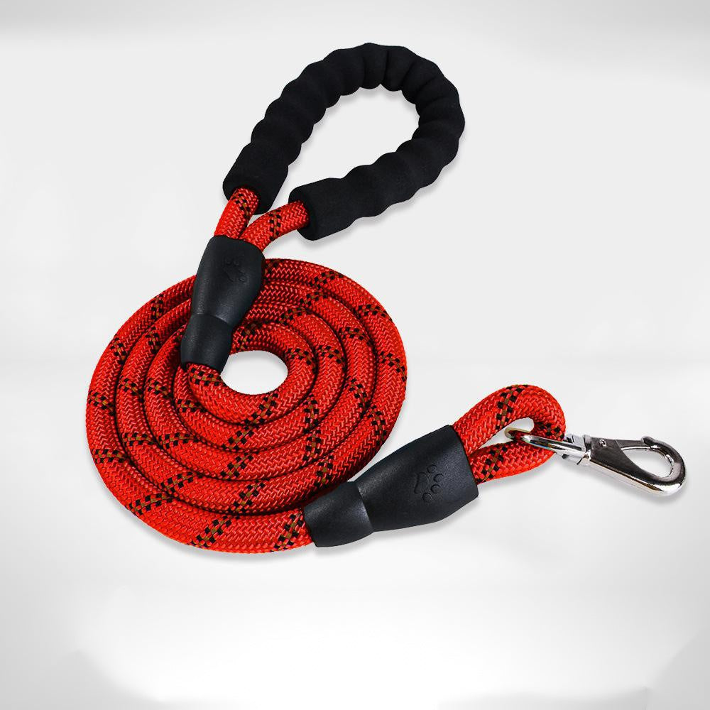 Adjustable Dog Collar for Medium and Large Pets