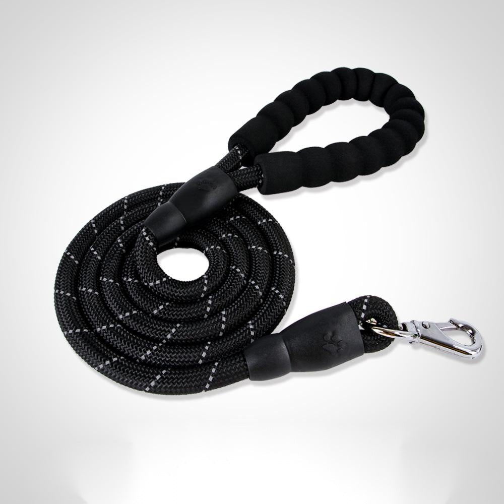 Adjustable Dog Collar for Medium and Large Pets