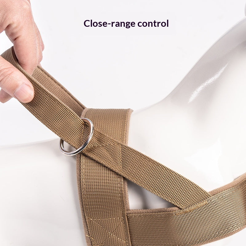 Vest Style Dog Collar and Adjustable Harness Set