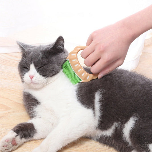 Shell-Shaped Pet Grooming Brush Hair Remover Comb Tool