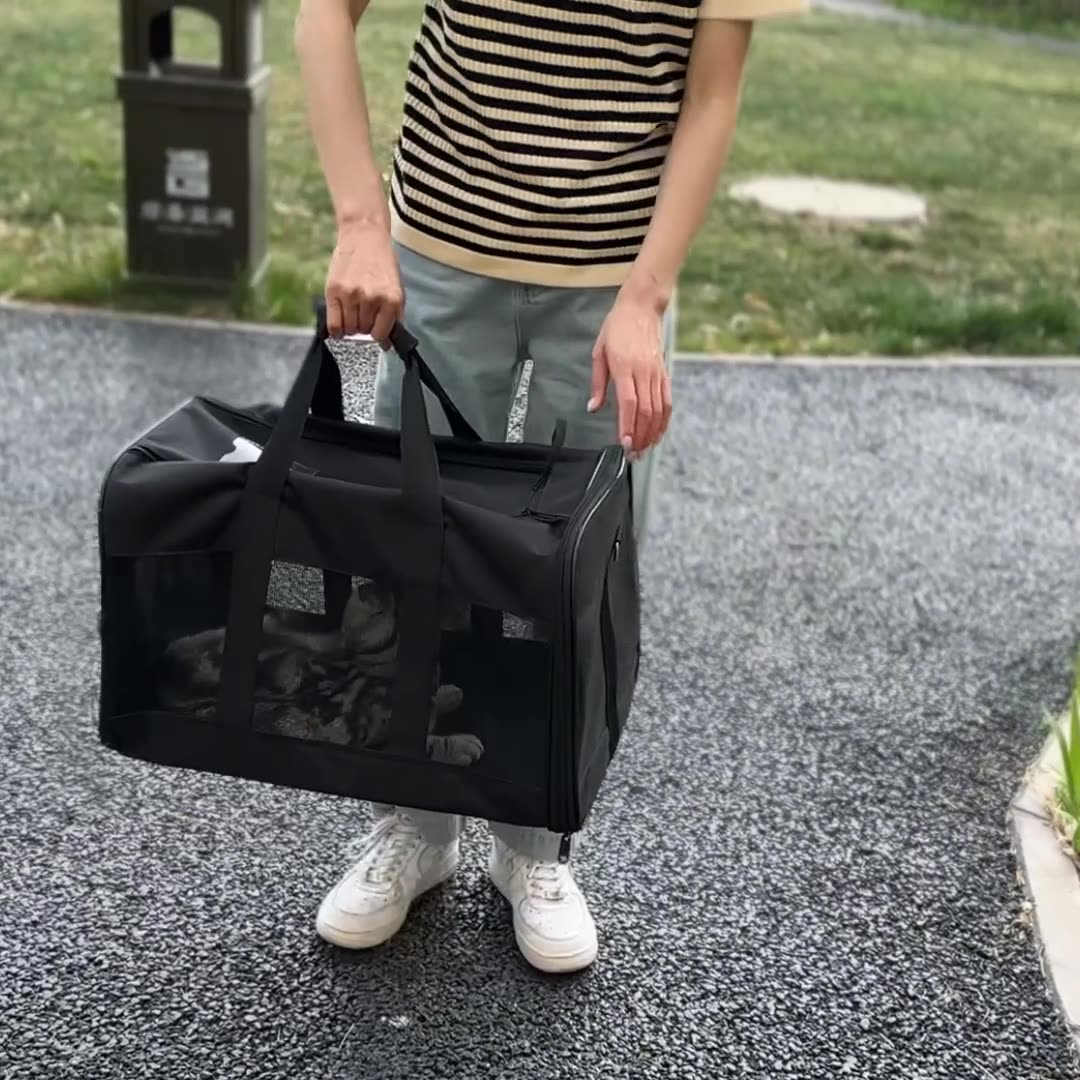 Portable Foldable Pet Carrier Bag for Travel