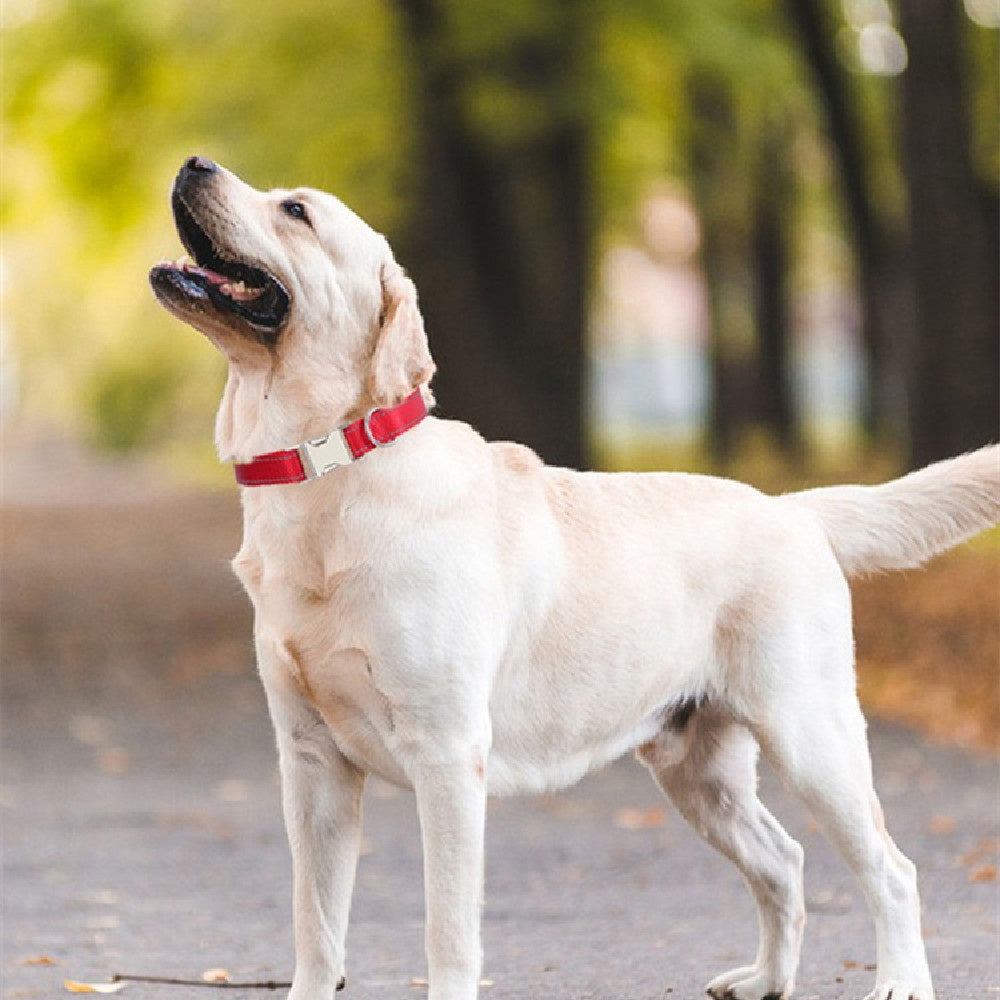 Reflective Nylon String Dog Collar for Daily Walking