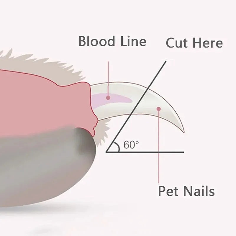 LED Pet Nail Clippers For Dogs And Cats