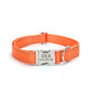 Reflective Nylon String Dog Collar for Daily Walking