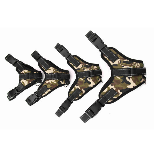 Adjustable Dog Collar for Medium and Large Pets