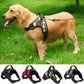 Adjustable Dog Collar for Medium and Large Pets