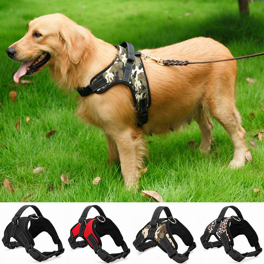 Adjustable Dog Collar for Medium and Large Pets