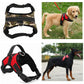 Adjustable Dog Collar for Medium and Large Pets
