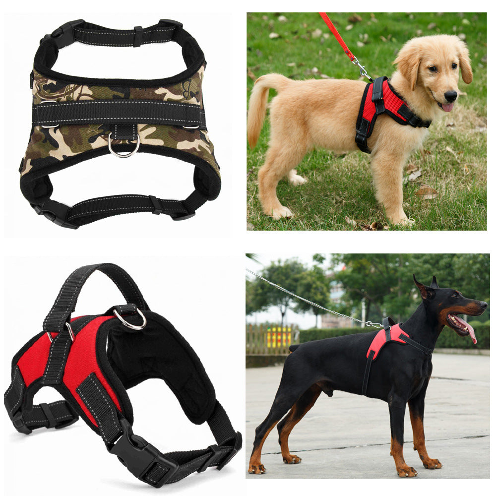 Adjustable Dog Collar for Medium and Large Pets