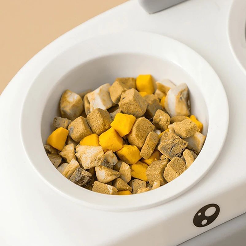 Duck Design Double Pet Feeding Bowl Food Water Tray