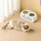 Duck Design Double Pet Feeding Bowl Food Water Tray