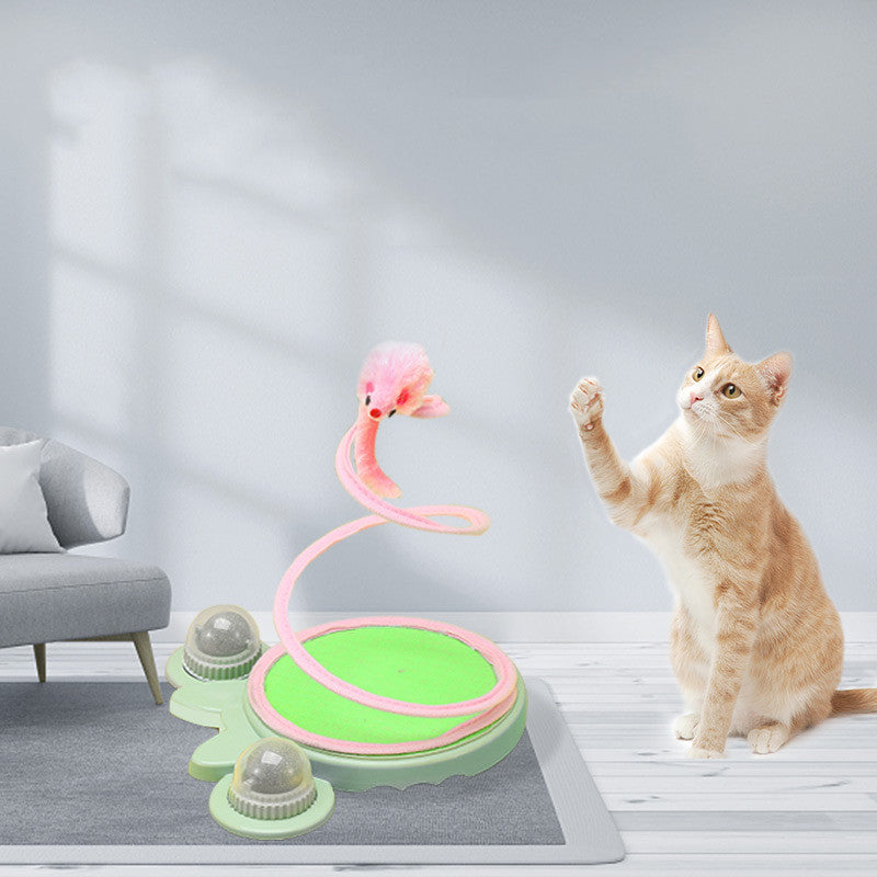 Cat Spring Coil Toy For Independent Play