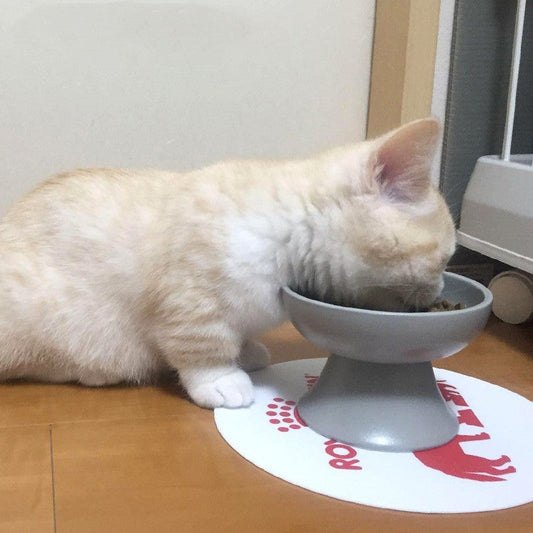 Japanese Style Elevated Ceramic Pet Bowl for Cats