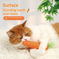 Cat Toy Gift Set Interactive Pet Supplies Collection