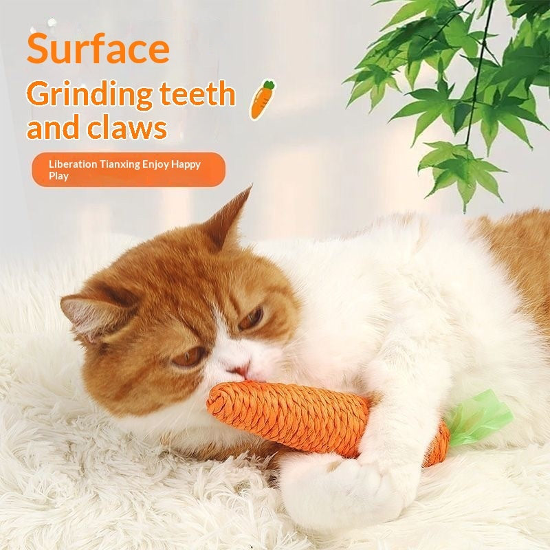 Cat Toy Gift Set Interactive Pet Supplies Collection