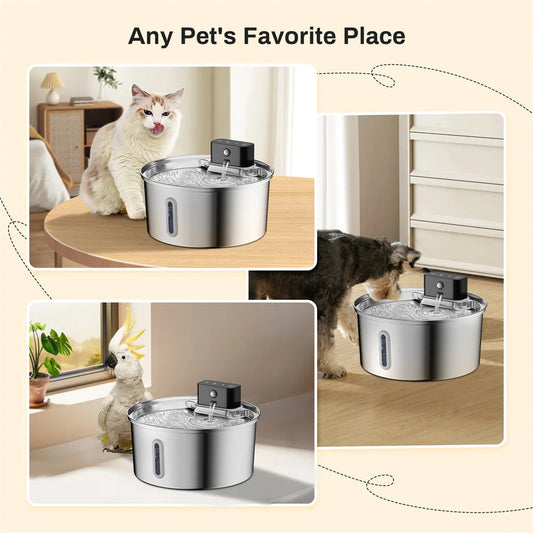 Wireless Smart Pet Water Dispenser Stainless Steel Automatic Fountain
