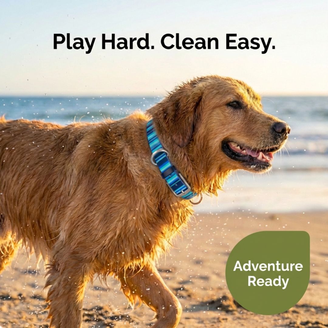 Waterproof Washable Dog Collar Stink-Proof Durable Pet Accessory