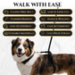 Hands Free No-Pull Dog Leash for Walking Control