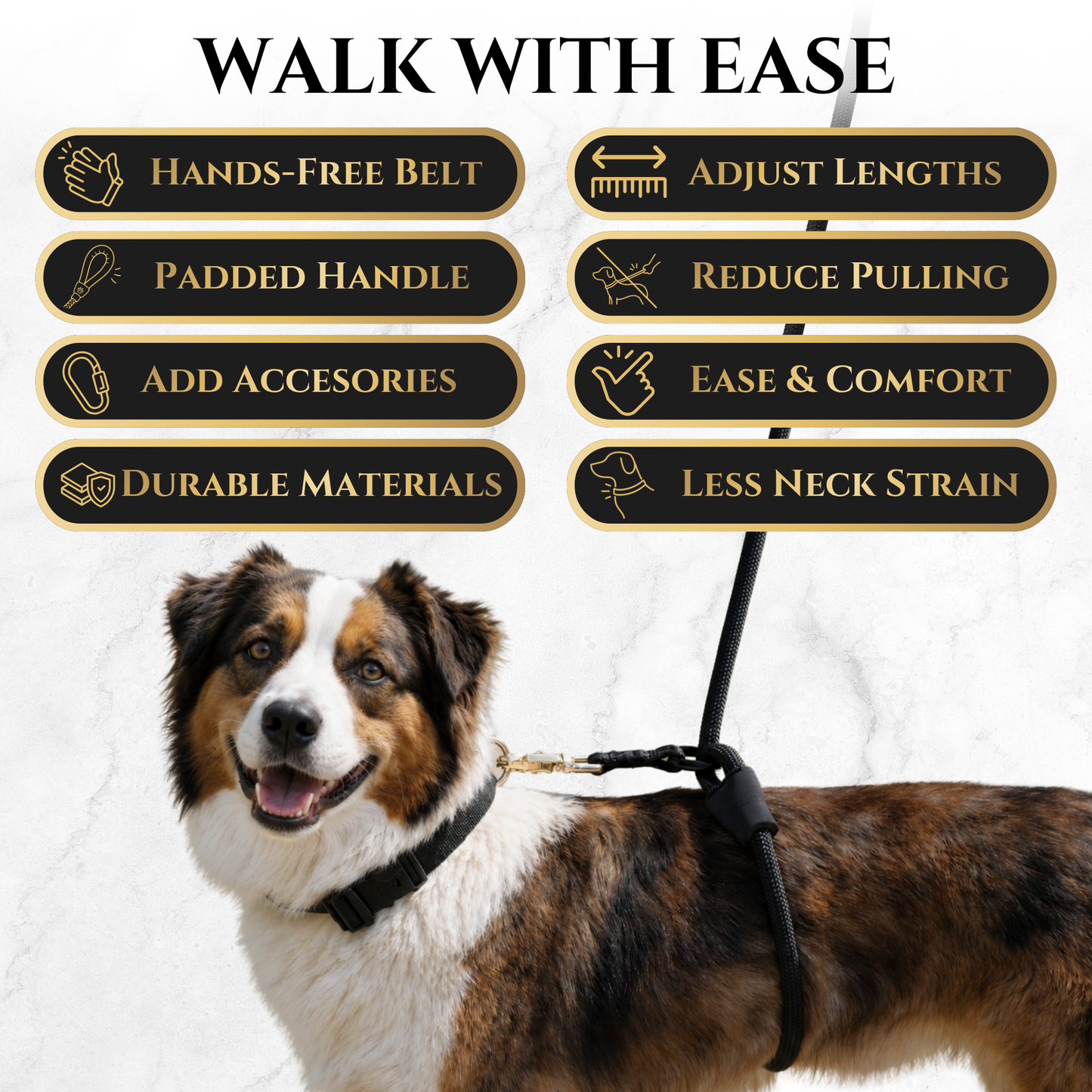 Hands Free No-Pull Dog Leash for Walking Control