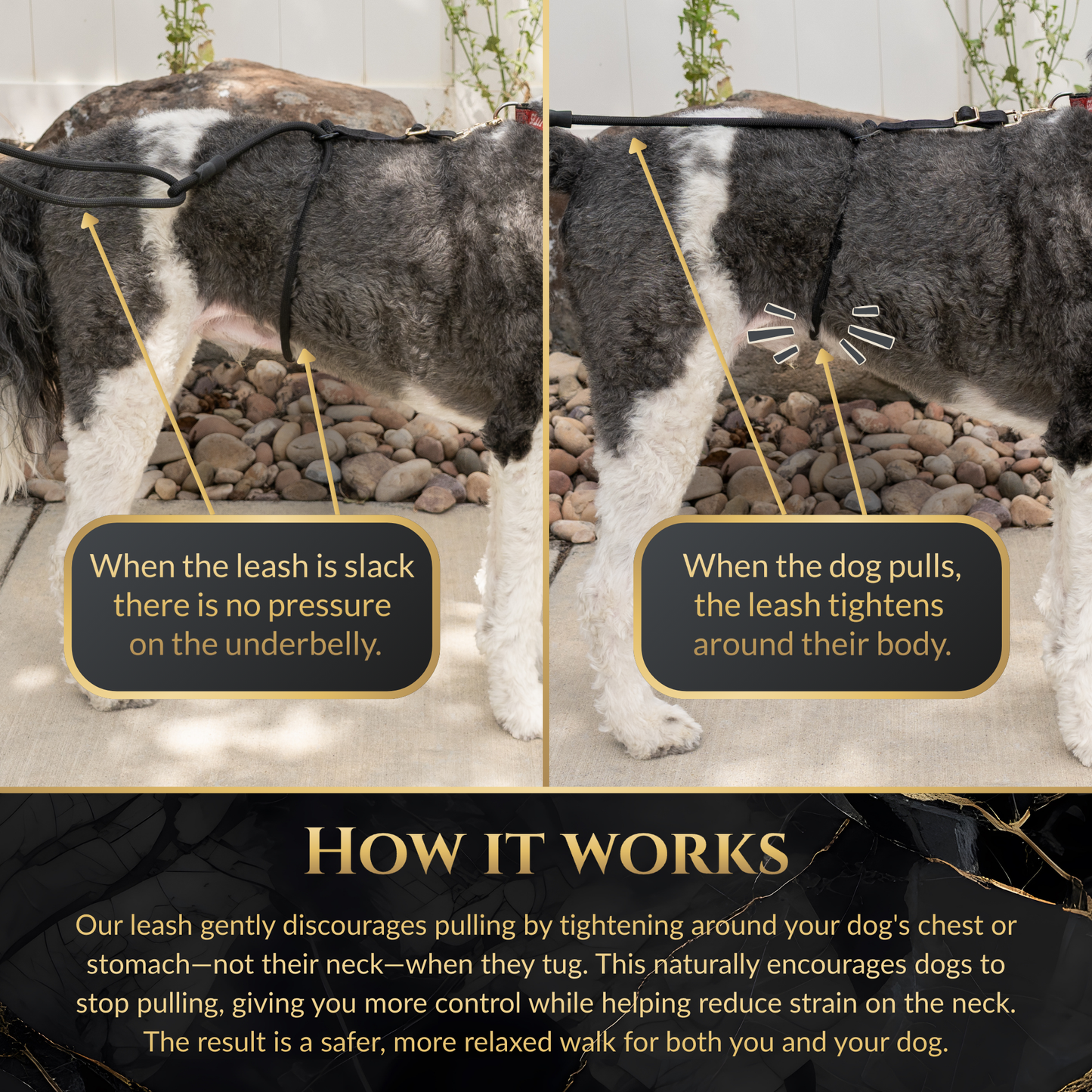 Hands Free No-Pull Dog Leash for Walking Control