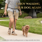 Hands Free No-Pull Dog Leash for Walking Control