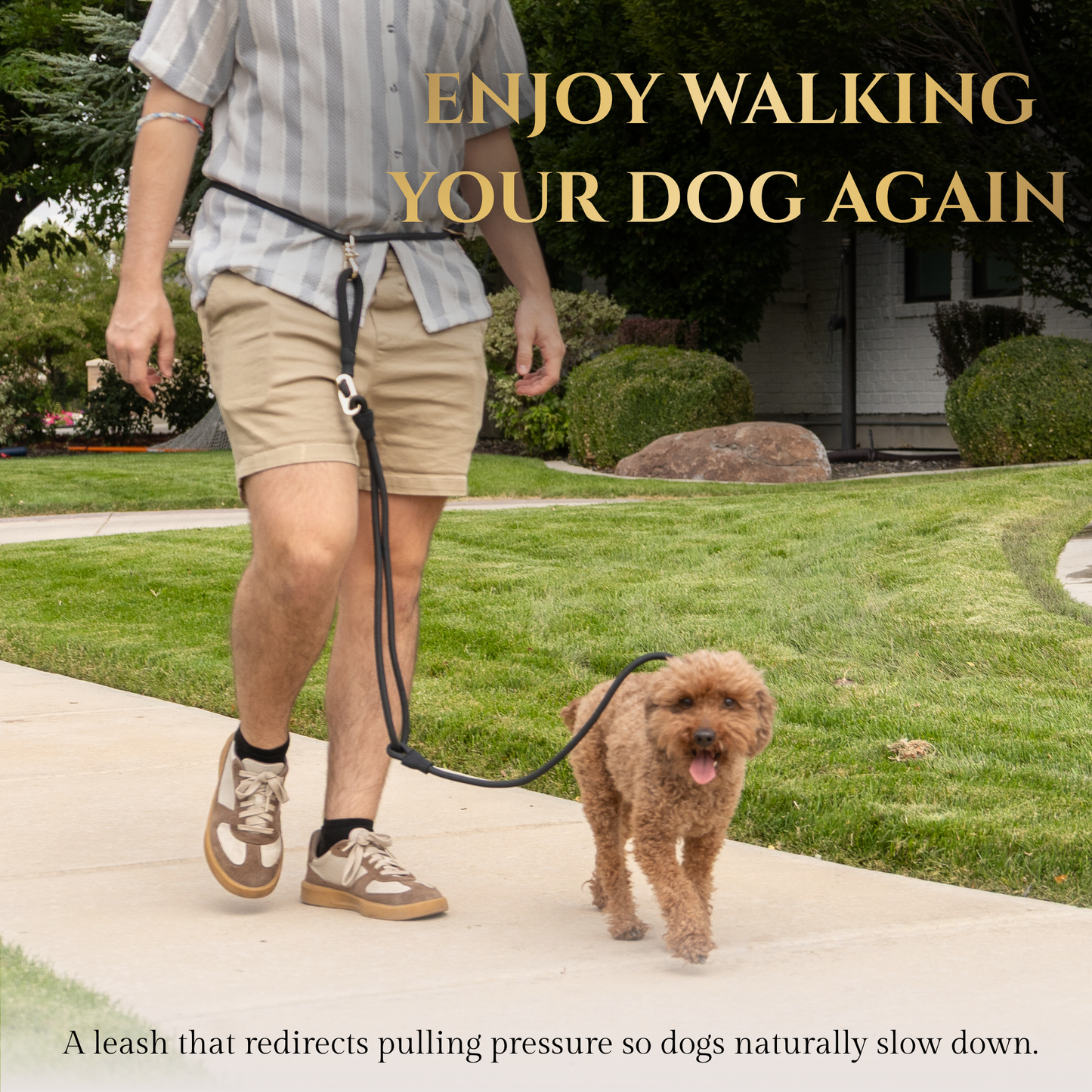 Hands Free No-Pull Dog Leash for Walking Control