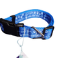 Can't Talk, Doing Bad Dog Shit Blue Nylon Dog Collar MD, LG, XL, Leash
