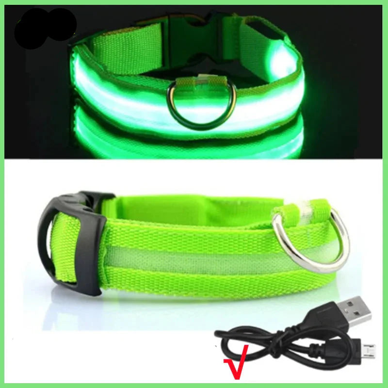 USB Rechargeable LED Dog Collar for Night Safety