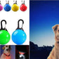 USB Rechargeable LED Dog Collar for Night Safety