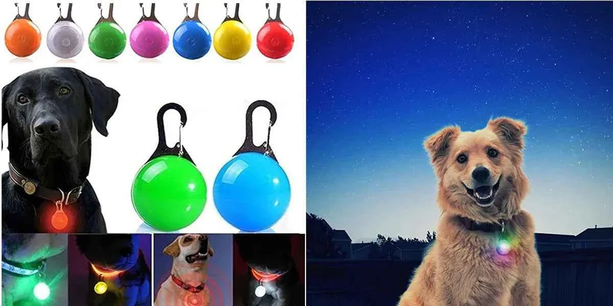 USB Rechargeable LED Dog Collar for Night Safety