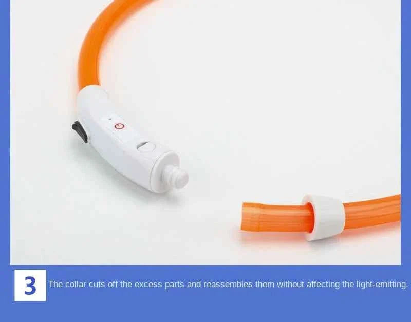 USB Rechargeable LED Dog Collar for Night Safety