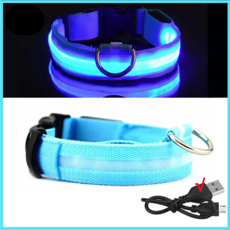 USB Rechargeable LED Dog Collar for Night Safety